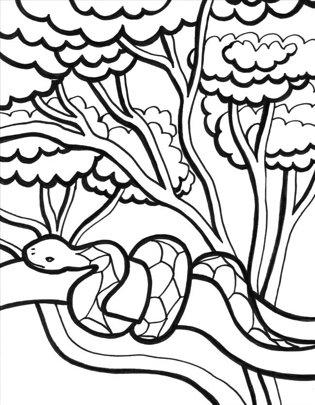 Snake Jungle Coloring Pages