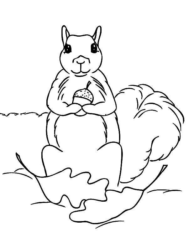 Squirrel Holding Acorn Coloring Page