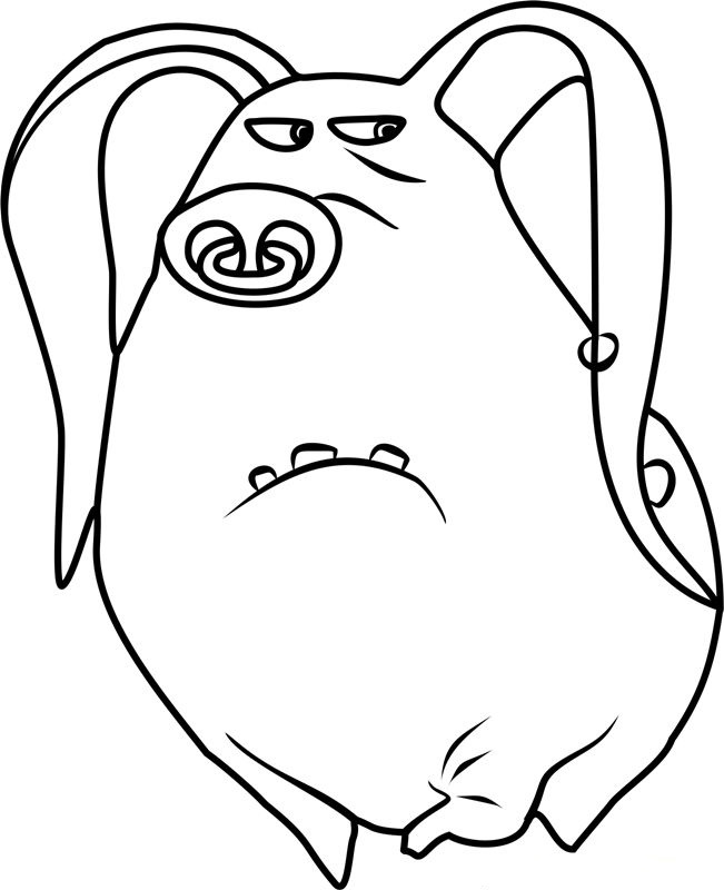 Tattoo The Secret Life of Pets Coloring Pages