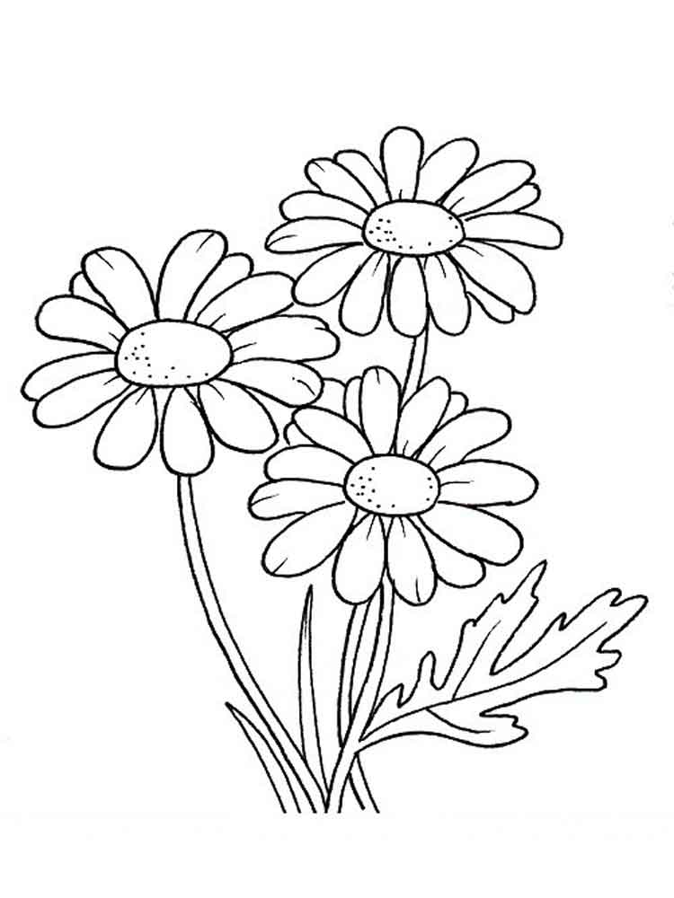 Three Daisy Flowers Flower Coloring Page