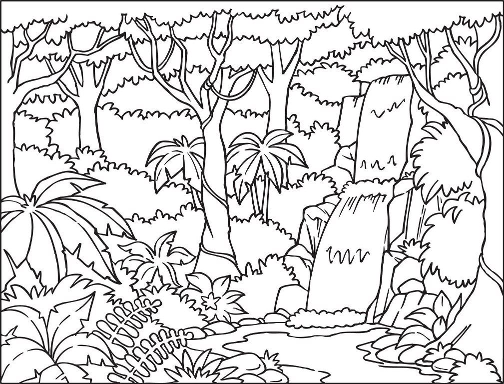 Tropical Forest Coloring Page