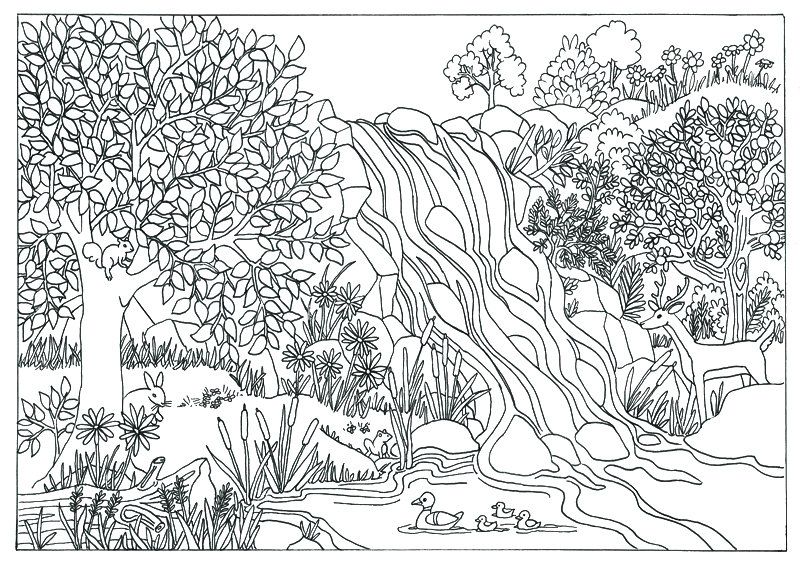 Waterfall Landscape Scene Coloring Page