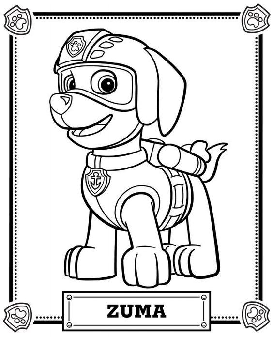 Zuma - Paw Patrol Coloring Pages