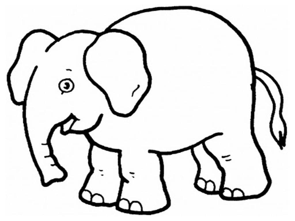 Vẽ con voi đơn giản theo từng bước  YeuTreNet