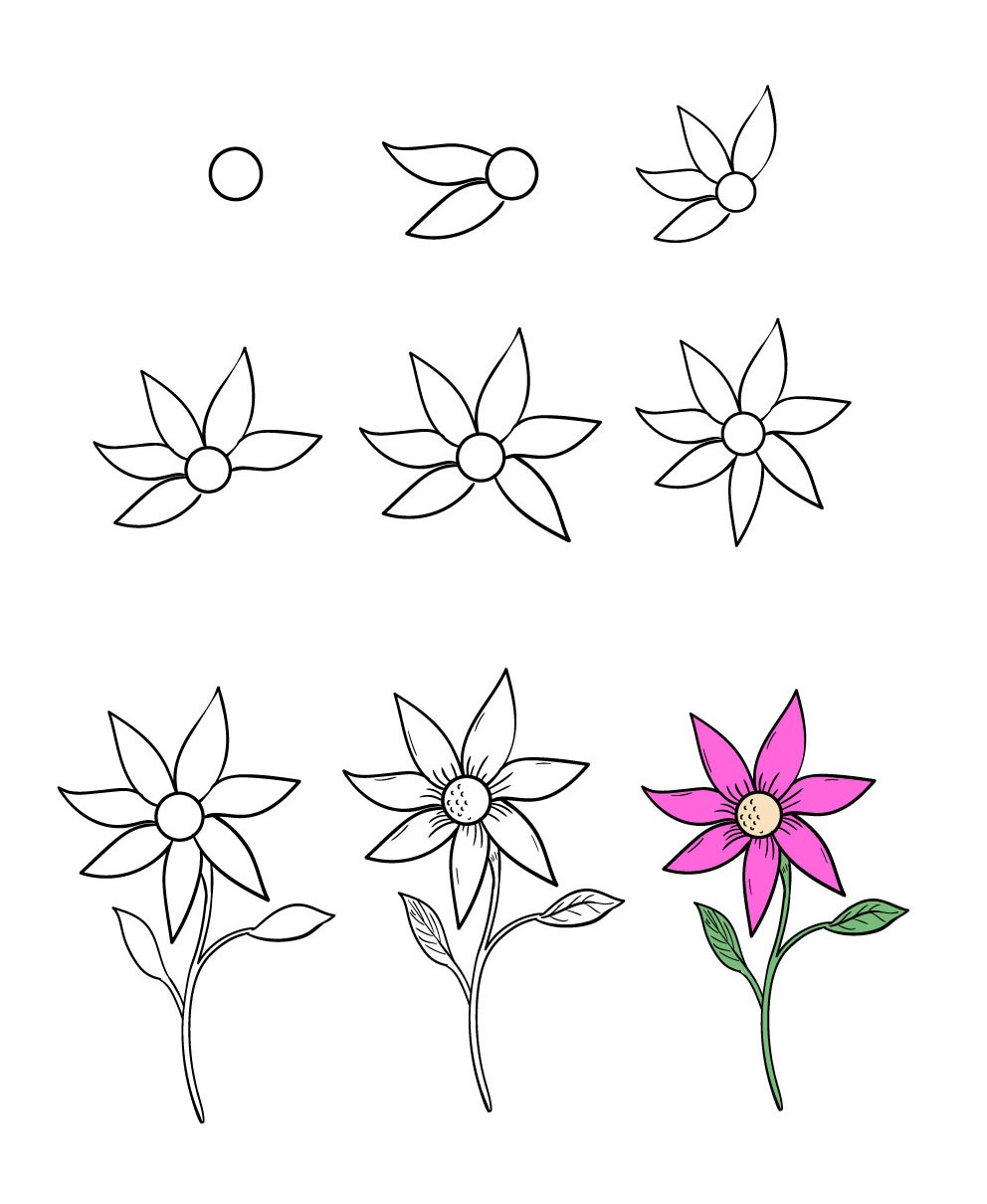 Hình Vẽ Bông Hoa Đẹp 3D 5 Cánh Đơn Giản Dễ Vẽ Nhất
