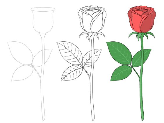 Cách Vẽ Bông Hoa Hồng Đơn Giản Theo Từng Bước – Yeutre.Net