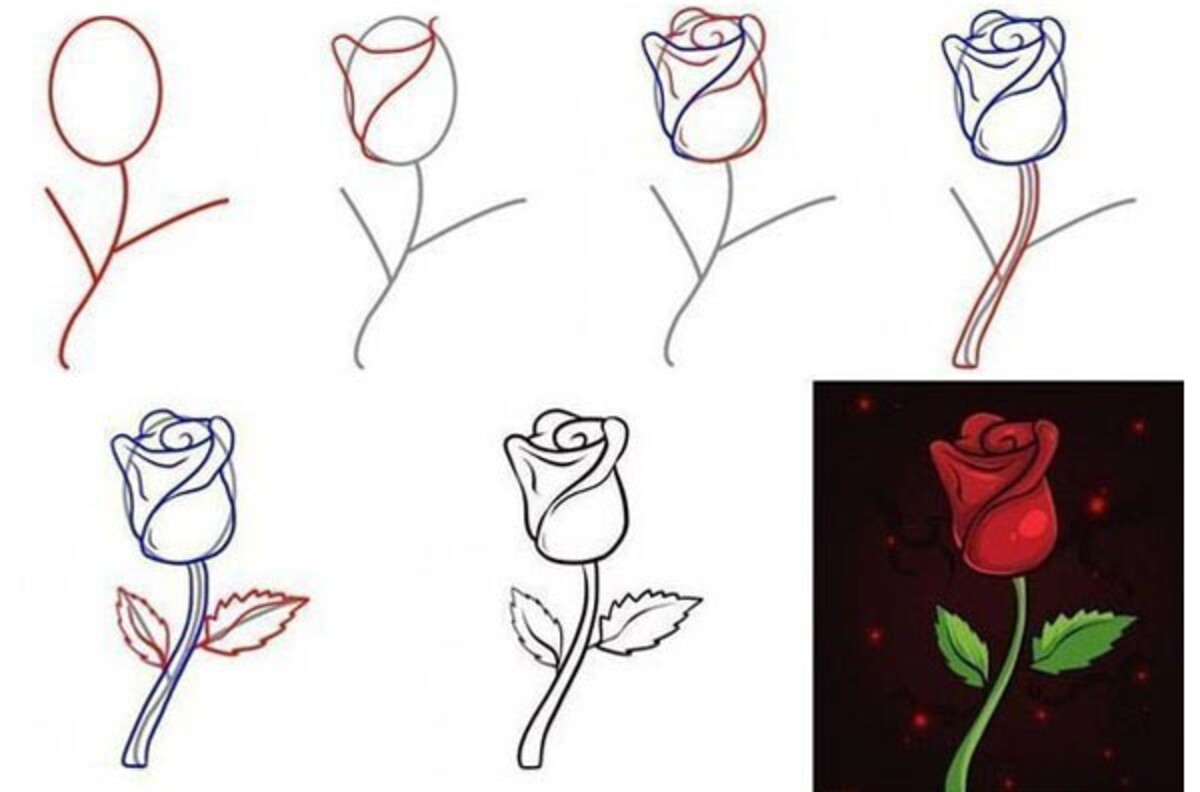 Dễ dàng vẽ một bông hoa từng bước  cách vẽ hoa và tô màu cho trẻ em  Draw  Dolls  YouTube