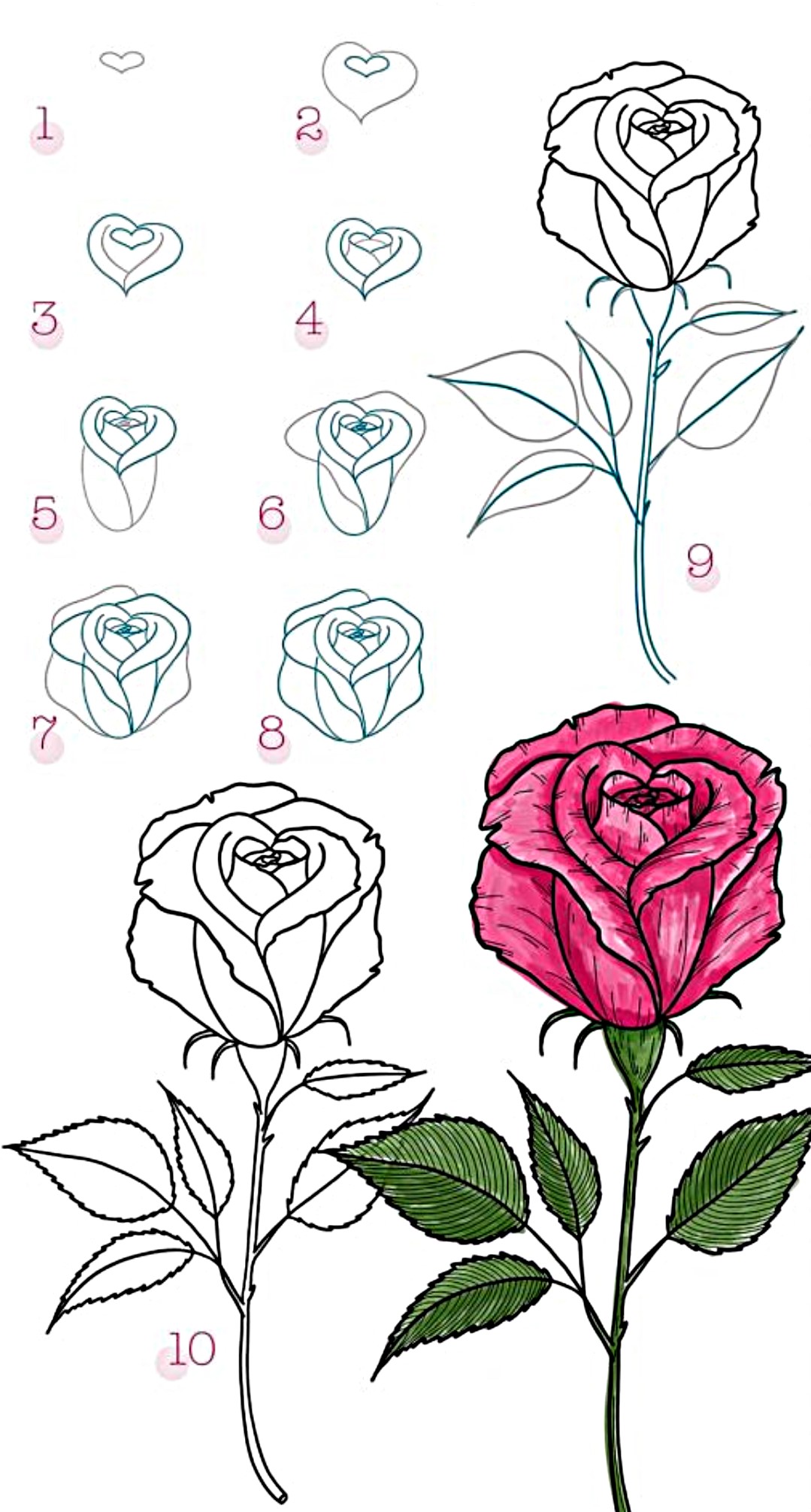 Cách vẽ Vẽ bông hoa hồng đơn giản với màu sắc tươi tắn