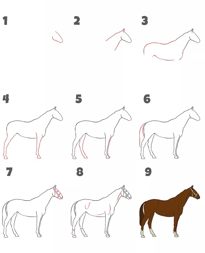 Hướng dẫn cách vẽ con ngựa vằn đơn giản với 9 bước cơ bản