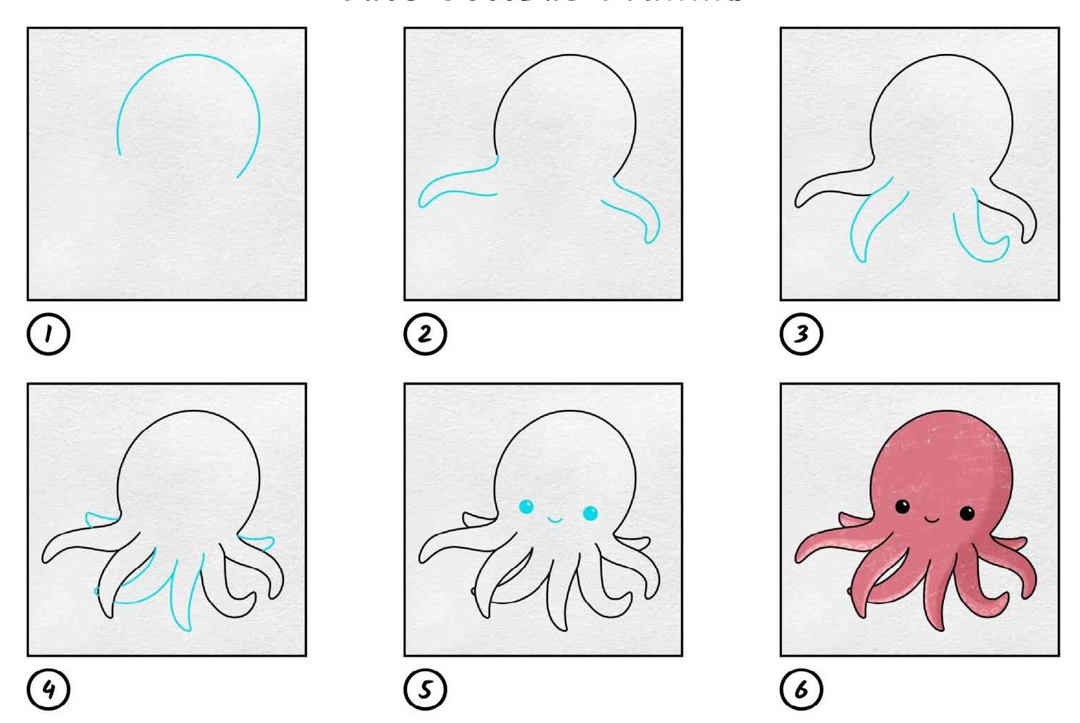11 Bạch tuộc ý tưởng  bạch tuộc động vật dễ thương