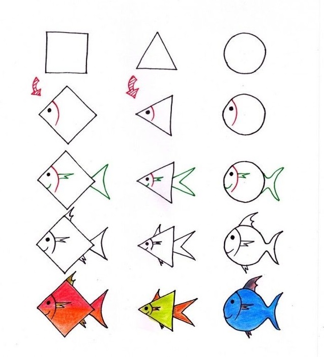 Học Vẽ Bằng Số Vẽ Con Cá Bằng Số Một Cách Thú Vị